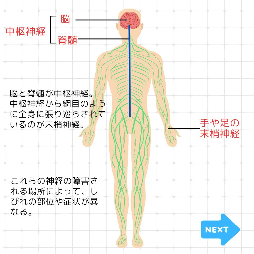 しびれについて | 医療法人社団吉野医院 吉野医院